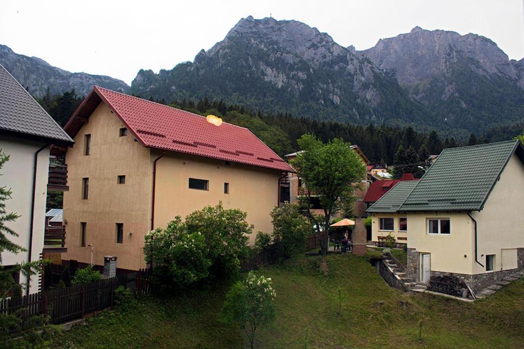 Apartament Mountain Life Busteni Exterior photo